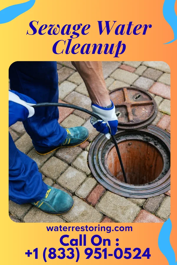 Sewage Water Cleanup in Keomah Village, IA